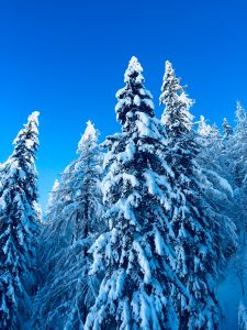 Interski Gap Year. Aosta Valley